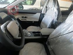 جیتۆر داشينگ